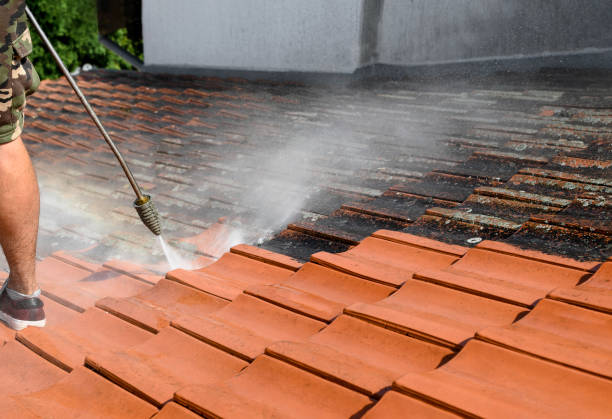 Best Sidewalk Pressure Washing  in Benavides, TX