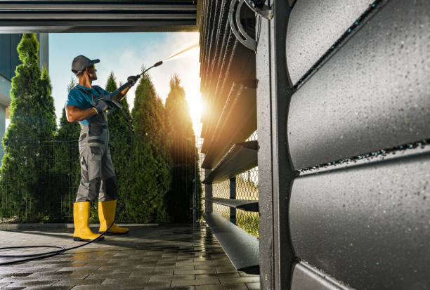Best Roof Pressure Washing  in Benavides, TX