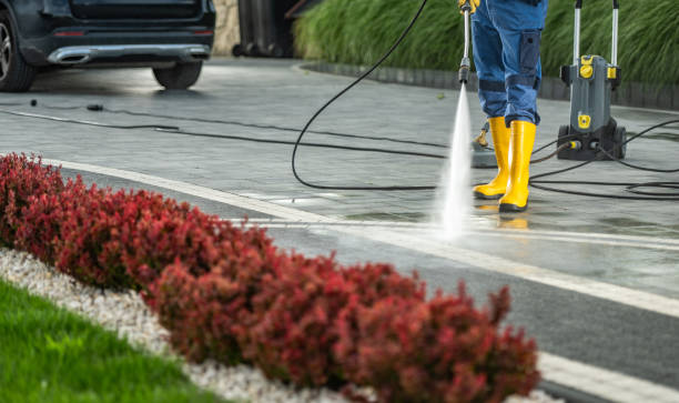 Best Local Pressure Washing Services  in Benavides, TX