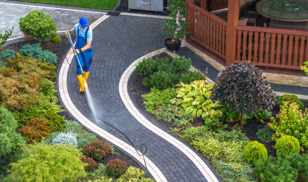  Benavides, TX Pressure Washing Pros