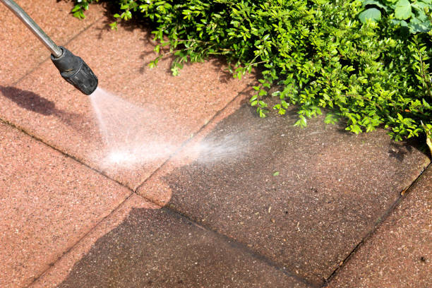 Best Commercial Pressure Washing  in Benavides, TX